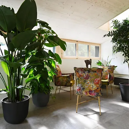 Apartamento Blue-art Wyssachen