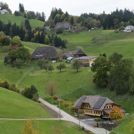Blue-art *